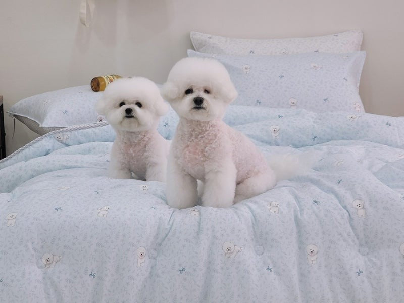 🇰🇷韓國棉被 🐶 比熊蝴蝶結四季被（薄款）
